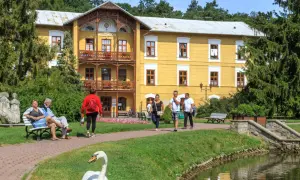Sanatorium NFZ: Sprawdź status skierowania i skróć czas oczekiwania