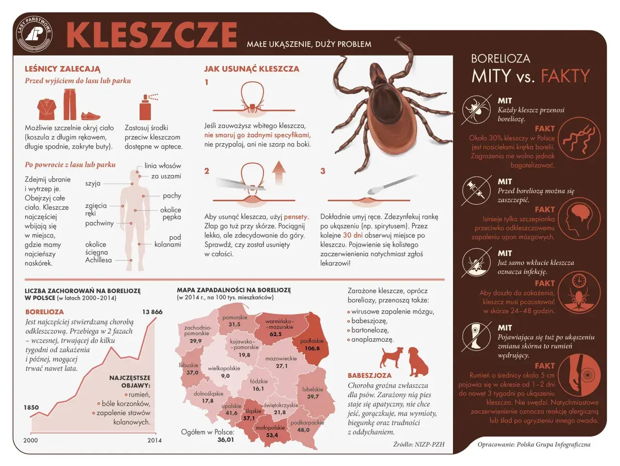 Choroby od kleszcza: Objawy, leczenie, profilaktyka. Co robić?