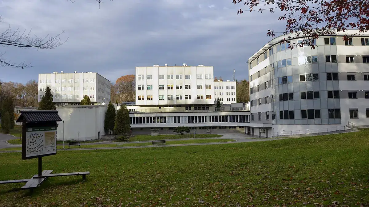 Zdjęcie Jak długo trwa rehabilitacja w Reptach? Czas trwania i czynniki wpływające