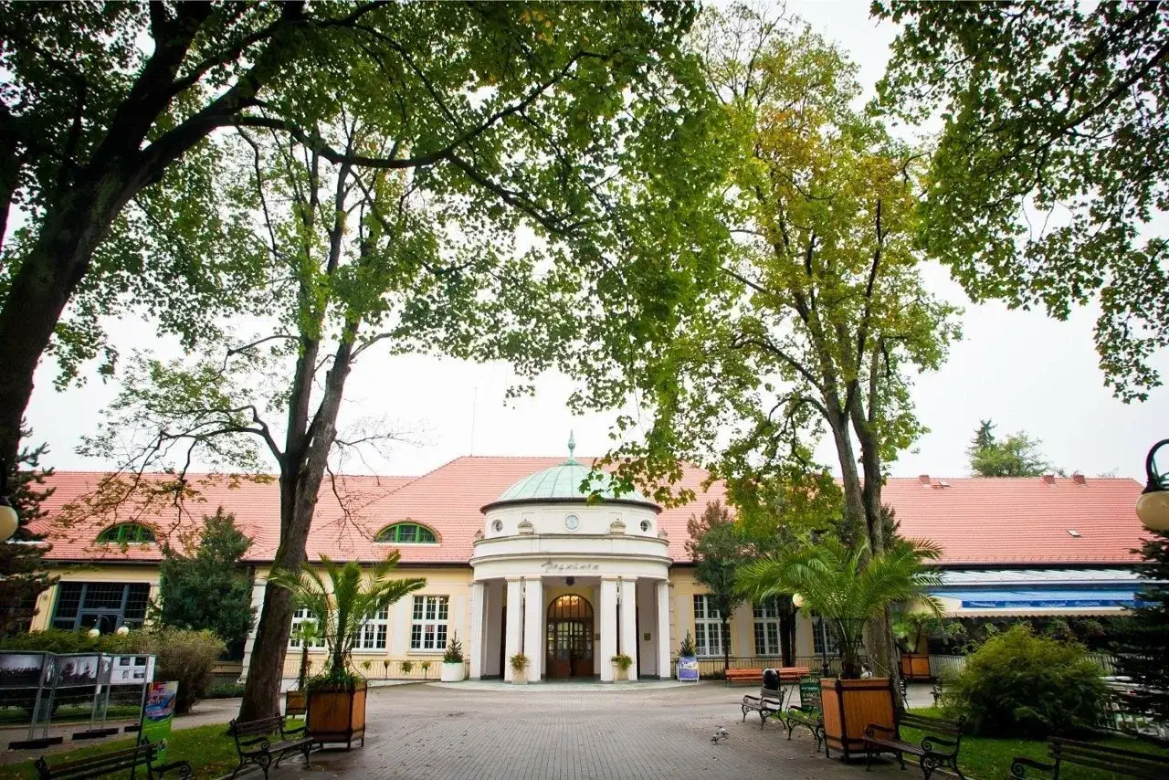 Kolejki sanatorium NFZ Śląsk
