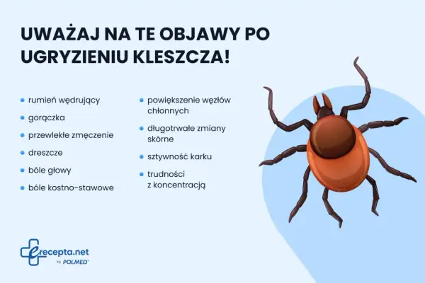 Ugryzienie kleszcza: objawy boreliozy i KZM. Sprawdź, co robić!